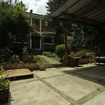 Cabin In The Forest Of Cdmx