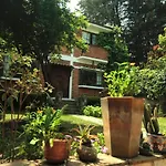 Cabin In The Forest Of Cdmx