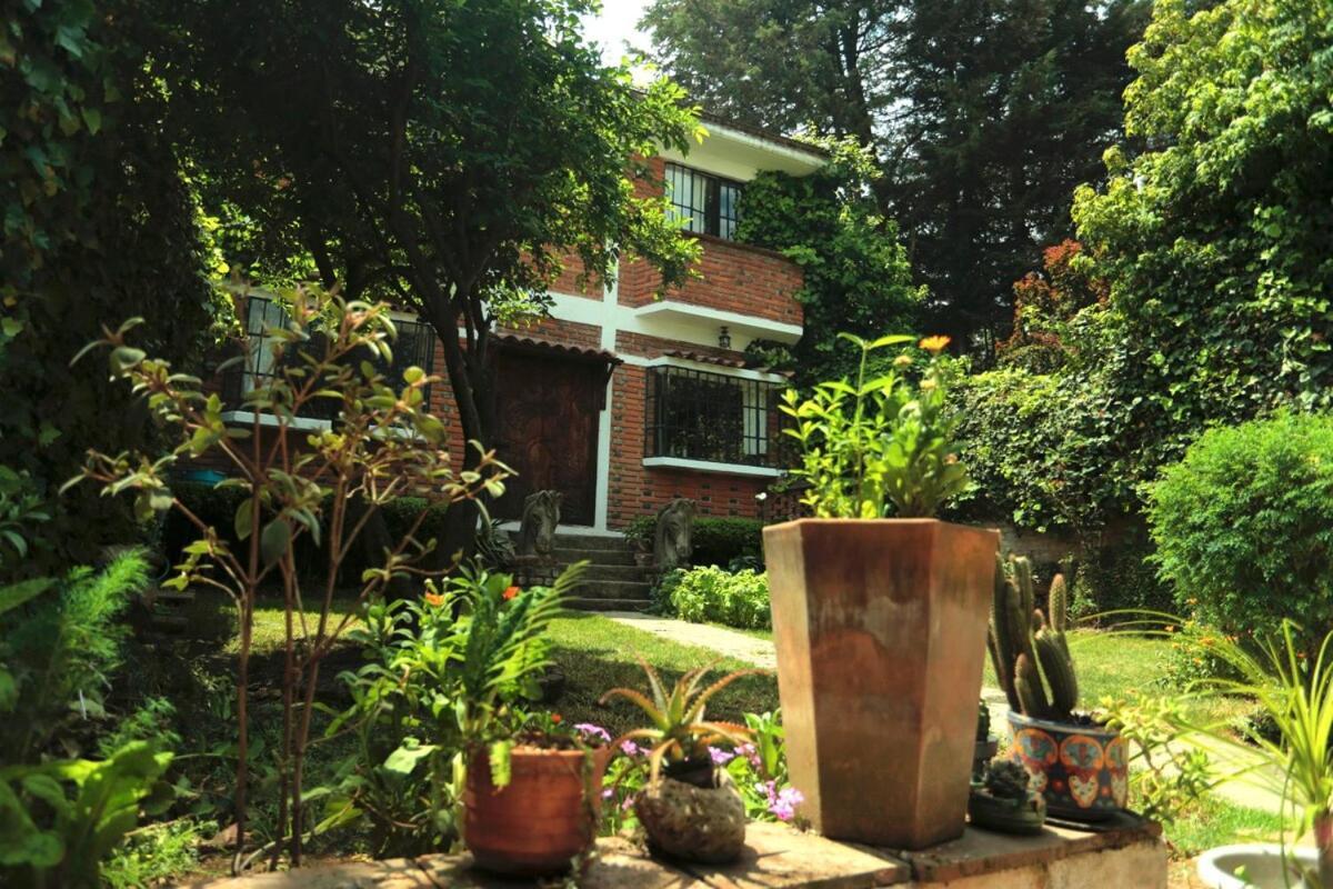 In The Forest Of Cdmx Holiday home